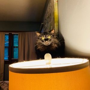 Meet your Posher, Viktoriya